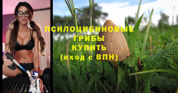 ешки Белокуриха