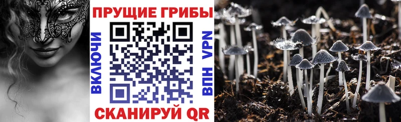 Псилоцибиновые грибы мухоморы  как найти закладки  Бежецк 